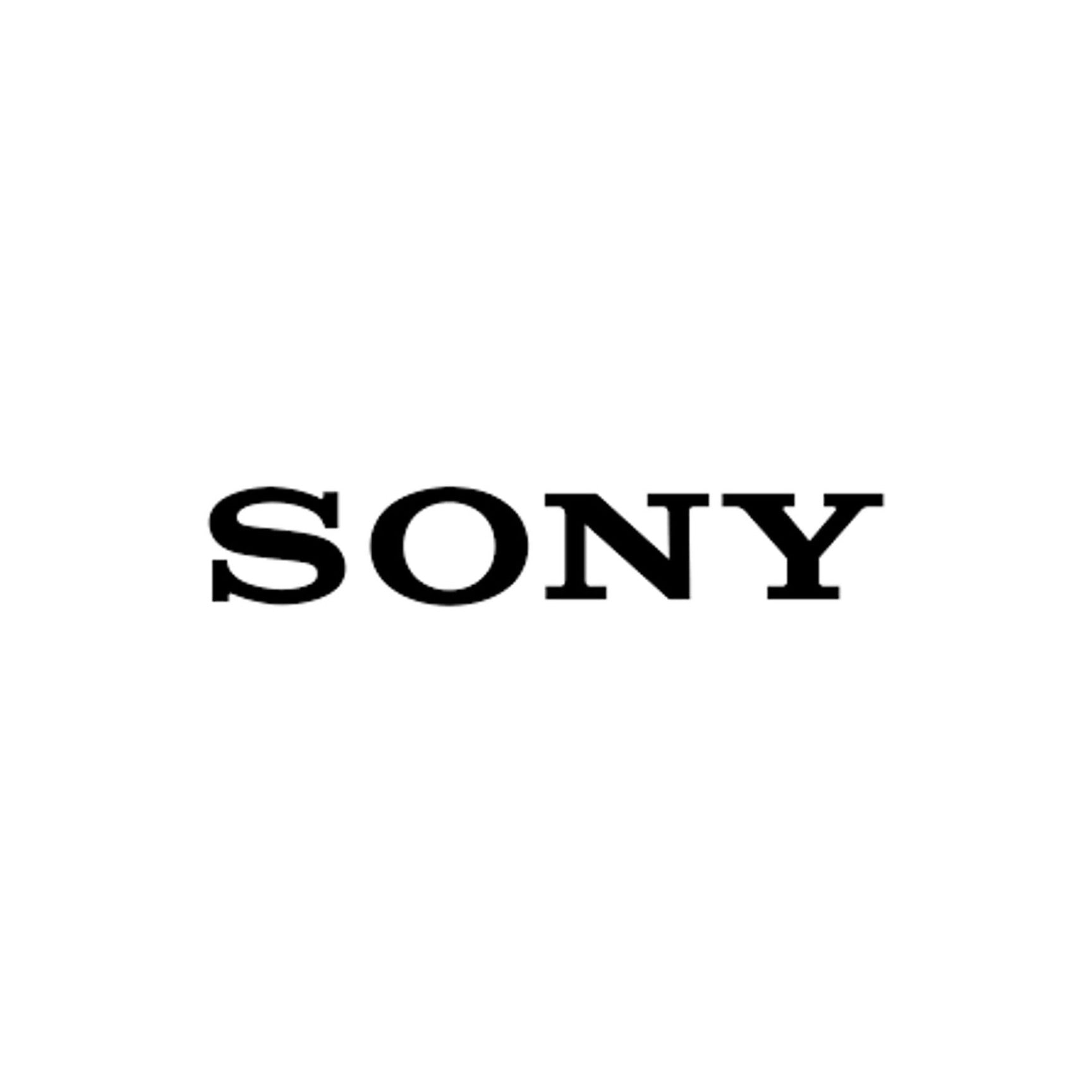 Sony BCU2 Charger